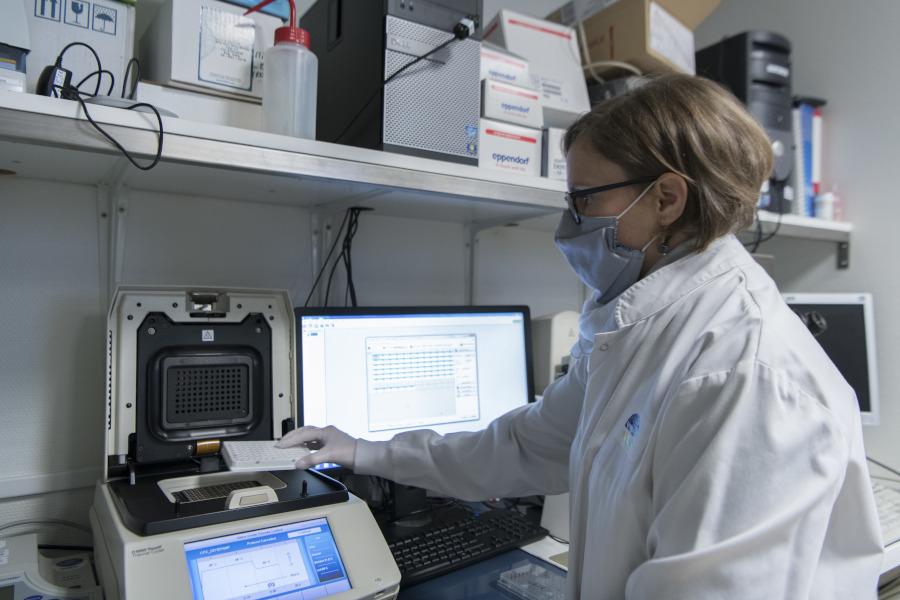 Mesure de l��expression de g��nes induits par les cytokines de l��inflammation dans des cellules d��articulation de polyarthrite.