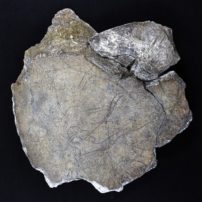 Collections G��ologie