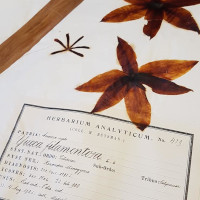 Acc��der �� l'Herbier