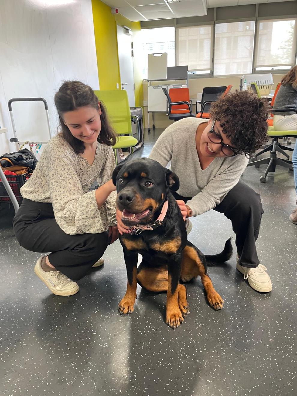 M��diation animale 2